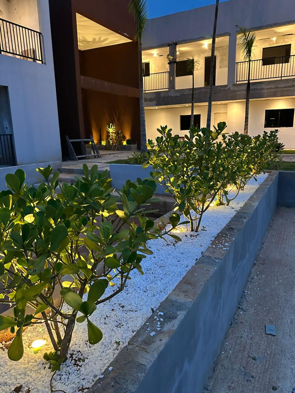 Jardins iluminados à noite